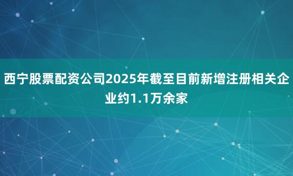 西宁股票配资公司2025年截至目前新增注册相关企业约1.1万余家