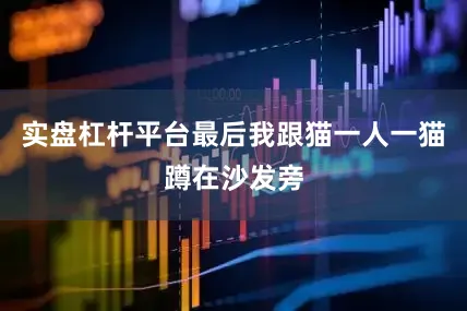 实盘杠杆平台最后我跟猫一人一猫蹲在沙发旁