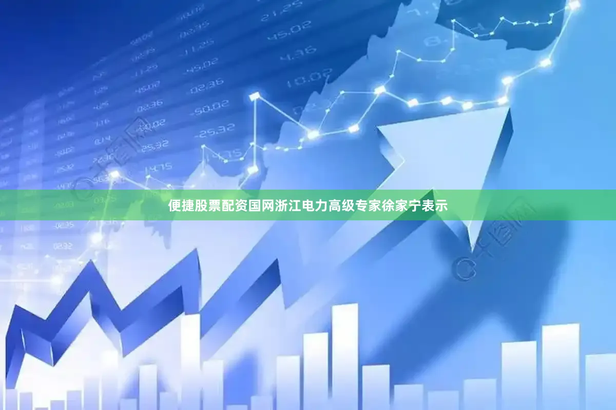 便捷股票配资国网浙江电力高级专家徐家宁表示